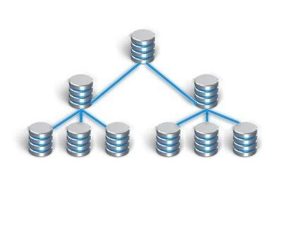 базы данных hosting ukraine базы данных hosting ukraine