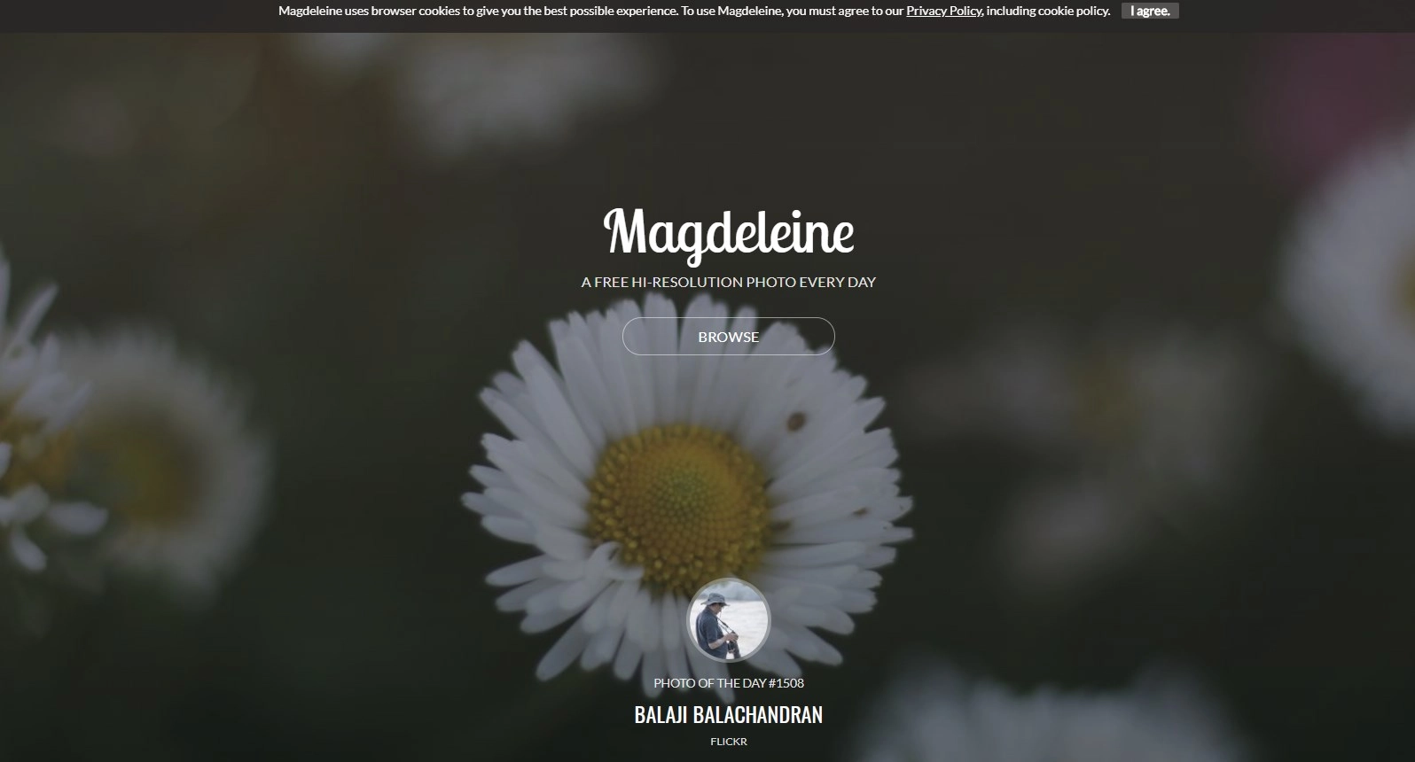 Magdeleine – якість і простота Magdeleine – якість і простота